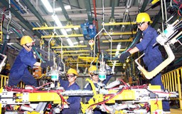 WB: Việt Nam có biện pháp mạnh cho vấn đề mấu chốt
