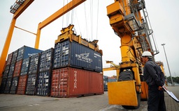 Cắt giảm thuế nhập khẩu theo các FTA