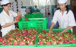 Bộ NNPTNT giảm 50% thủ tục với nông sản xuất khẩu