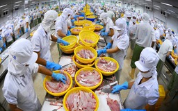 Con cá tra và quyết tâm cải cách của Chính phủ