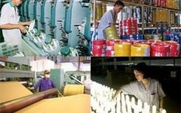 Chính phủ ban hành Nghị định về bán DNNN