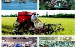 Xây dựng các cụm ngành sản phẩm có lợi thế cạnh tranh
