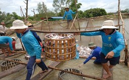 Lựa chọn nghiệt ngã nhưng đúng hướng