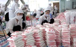 Rối bời định nghĩa các loại muối