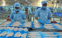 Bộ NNPTNT: Không thay đổi tiêu chuẩn cá tra