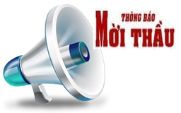 Được tự đăng kế hoạch lựa chọn nhà thầu với… 10 nghìn đồng