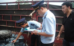 Nới lỏng điều kiện nhập máy móc, thiết bị cũ 