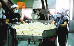 Lệch pha chính quyền - doanh nghiệp
