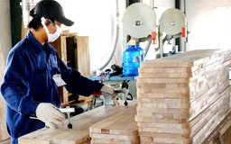 Chia nhóm doanh nghiệp nhỏ và vừa