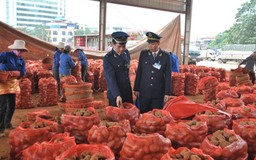 Làm việc đến 8 giờ tối để thông quan kịp thời