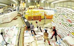 Phó Thủ tướng kết luận về điều hành xuất khẩu gạo