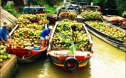 GS. Nguyễn Lân Dũng: Tôi vẫn lạc quan về nông nghiệp nước ta