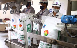 Thiệt đơn thiệt kép vì… không phải chịu thuế!