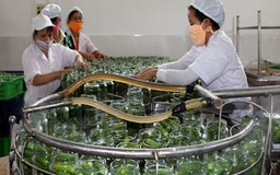 "Nút thắt" thông quan nông sản đã mở