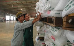 Phản hồi ý kiến “DN chịu thiệt vì được miễn thuế”