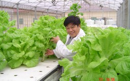 Nghịch lý đầu tư nông nghiệp thiếu đất "sạch"