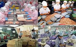 Nâng cao năng lực cạnh tranh hàng hóa xuất khẩu