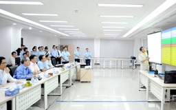 Phối hợp giám sát trong lĩnh vực thuế, hải quan