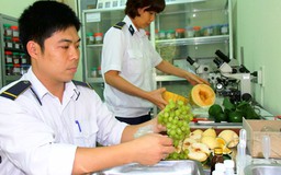  Thay thế, hủy bỏ 16 thủ tục về kiểm dịch thực vật