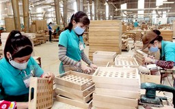 Hai lý do khiến xuất khẩu gỗ sụt giảm