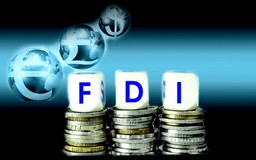 Niềm tin doanh nghiệp FD cao nhất trong nhiều năm