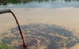 Xử lý nghiêm vi phạm về bảo vệ môi trường