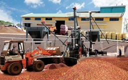 Sao lại “tự mình trói mình”?