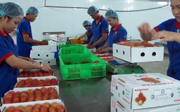 Thủ tướng phê duyệt cổ phần hóa thêm một Tcty
