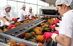Phó Thủ tướng yêu cầu xem lại quy định “tự trói mình”