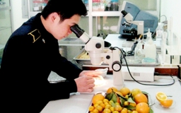 Đối thoại trực tiếp với DN sau chỉ đạo của Phó Thủ tướng