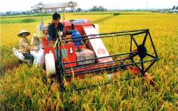 Nông sản “nóng” nghị trường và trách nhiệm "Tư lệnh ngành”