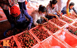 Chúc may mắn, vải thiều Việt Nam!