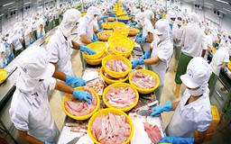 Chuyện "nhỏ mà không nhỏ" cho doanh nghiệp vào EU