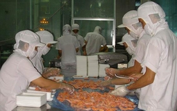 DN nhỏ cũng có thể bị kiện chống bán phá giá