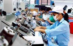 Phối hợp quản lý doanh nghiệp sau đăng ký thành lập