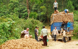 DN kêu trở tay không kịp vì thuế