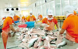 NAFIQAD thừa nhận 2 "nỗi khổ" của DN thủy sản