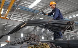 Kiểm định hàng nhập khẩu: G7 cũng phải… chờ