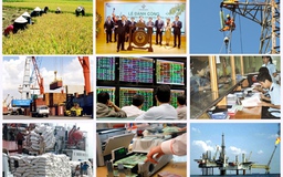 Thủ tướng: Không quy hoạch ngành nghề, sản phẩm cụ thể