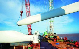 Khi người Việt “dựng rào” với… hàng Việt