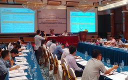 “Doanh nghiệp Việt đang đi trên cầu độc mộc”