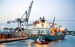 Đưa phụ phí vận tải biển vào Bộ luật Hàng hải