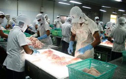 DN thủy sản “la làng” vì hàng loạt nhiêu khê
