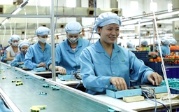 Phản biện "to tiếng", làm ăn gặp rủi ro?
