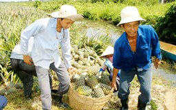 DN lo mất trắng hàng nghìn tỷ đồng với Thông tư 21