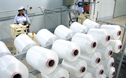 DN than thủ tục kiểm dịch, hun trùng