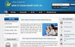Mã số DN chính thức được cấp tự động