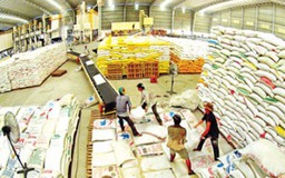 Nông sản đầu tiên làm thương hiệu quốc gia