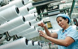 TPP tác động tới kinh tế, thể chế và xã hội Việt Nam