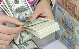 Thủ tục xin sử dụng ngoại hối tại Việt Nam